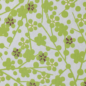 Ringtone | A5 Side Eye | Small Flower Frame | Tomoaki Paper TONE2 | Shougadou Shougadou