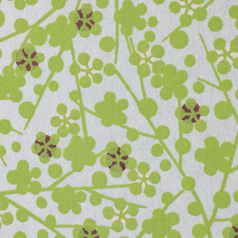 Ringtone | A5 Side Eye | Small Flower Frame | Tomoaki Paper TONE2 | Shougadou Shougadou