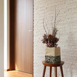 Washi Storage Box S Size | SAMIRO YUNOKI | Storage Item Folding Box | SIWA SIWA