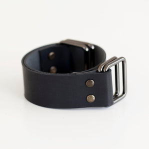 Bathroom heater lizard trap